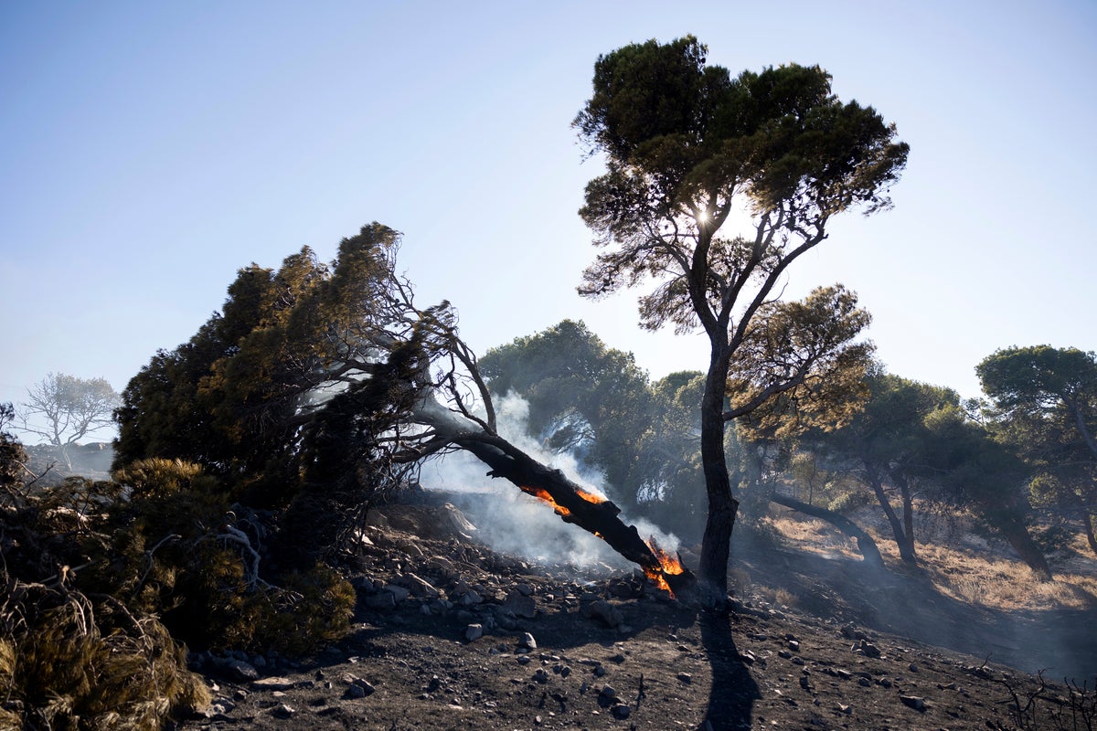 Tourists evacuated as Greece sees 52 wildfires in one day